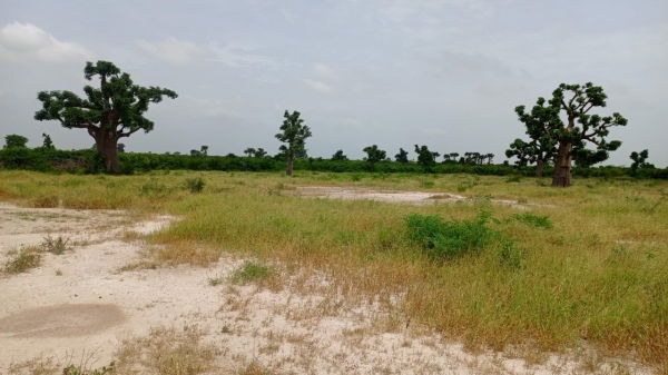 L’avant-projet détaillé (APD) pour l’aménagement de 11.000 ha