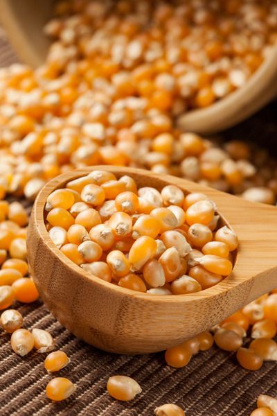 Organic Yellow Raw Corn Kernels against a background