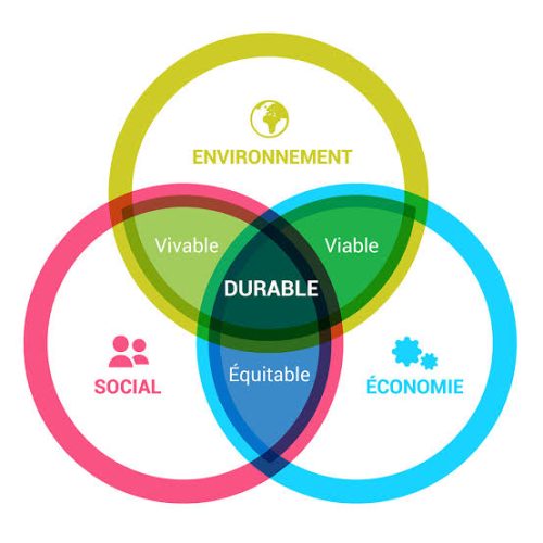 L’étude d’impact environnemental et social (EIES)