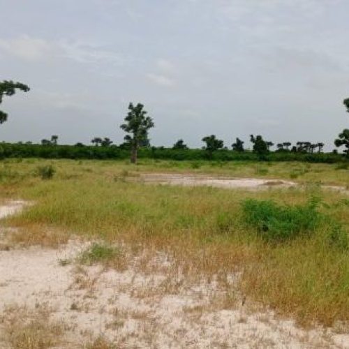 L’avant-projet détaillé (APD) pour l’aménagement de 11.000 ha