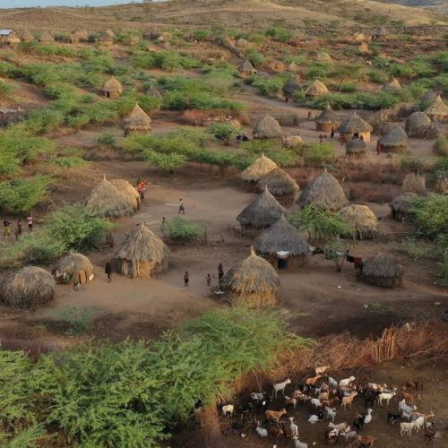 Etude de faisabilité pour l’aménagement de 100 ha de bas fond à Bamé dans l’arrondissement de Lagdo