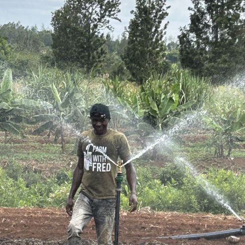 Etat des lieux des aménagements hydro agricoles de Lagdo